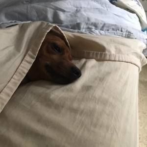 Meet your Posher, Kim